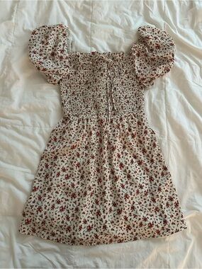 Francesca's Collections Cream Mini Dress with Red Floral Print